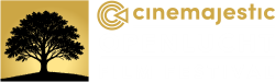 Openlucht Filmfestival